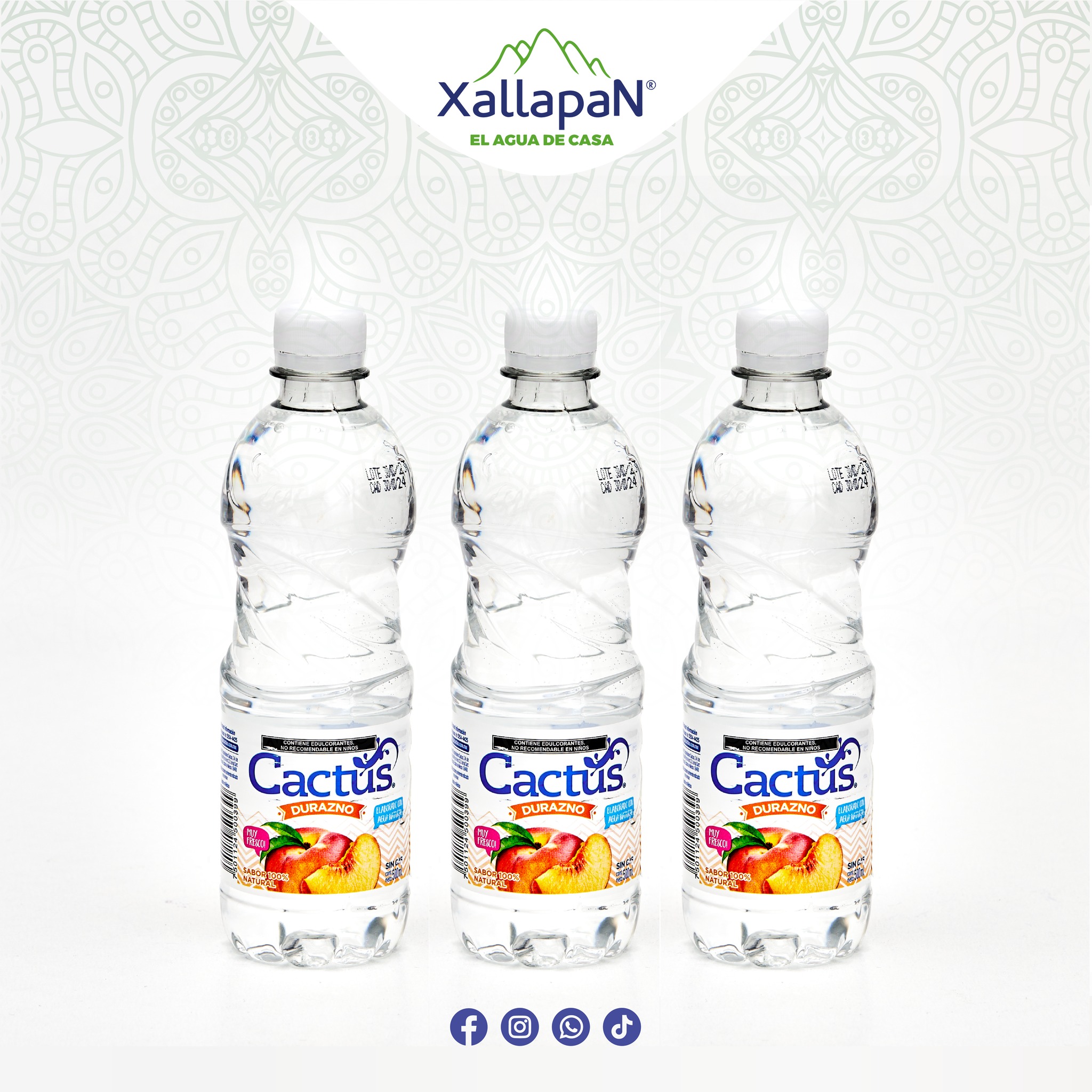 Agua Cactus XallapaN